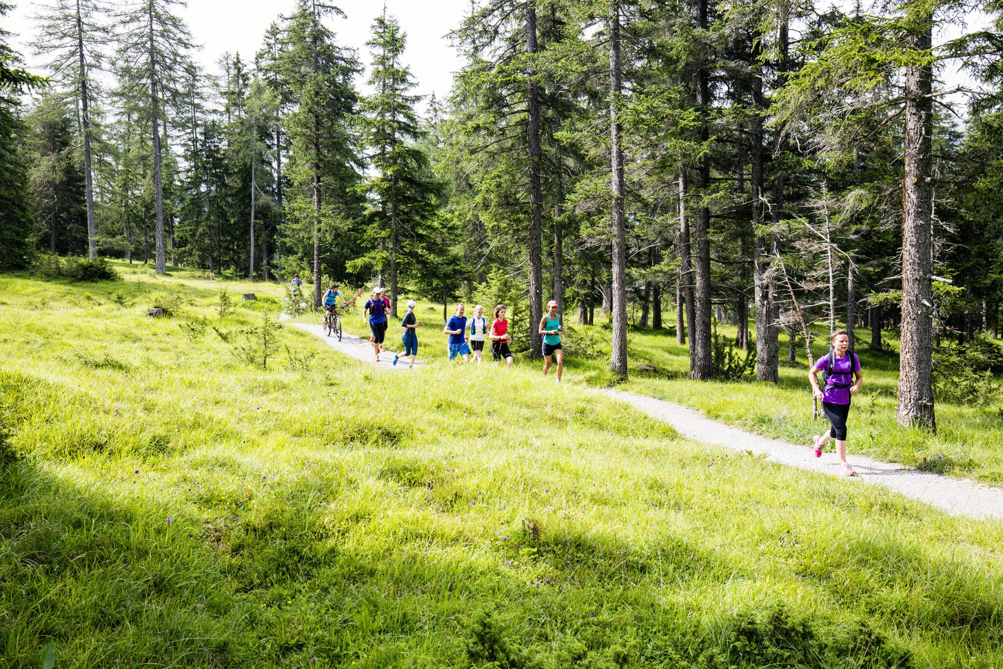 Trailrun-Seminar